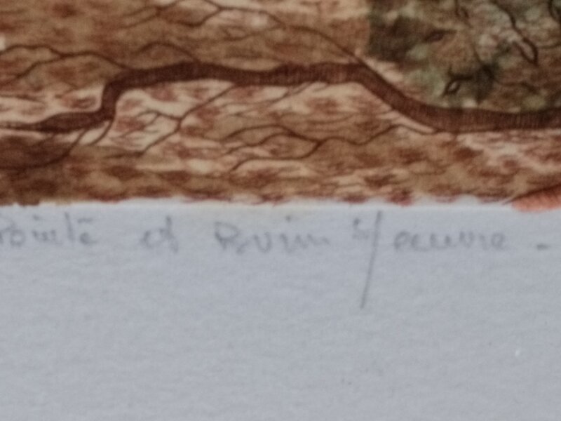 Doua litografii editie limitata, semnate